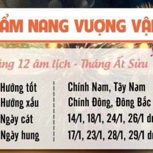 Tử vi tháng 12/2023 tuổi Dậu âm lịch: Hãy luôn kiên định với con đường đã chọn