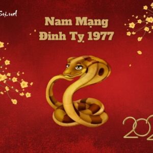 Tử Vi Tuổi Đinh Tỵ 1977 Năm 2023 - Nam Mạng