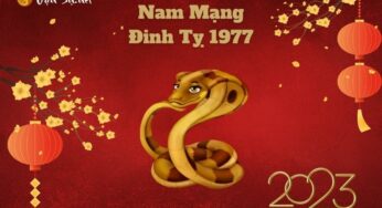 Tử Vi Tuổi Đinh Tỵ 1977 Năm 2023 – Nam Mạng: Tổng Quan và Tư Vấn