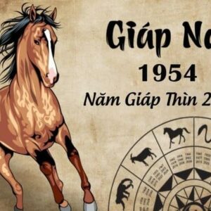 Tử vi tuổi Giáp Ngọ 1954 năm 2024 - Tìm hiểu thông tin mới nhất