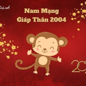 Tử Vi Tuổi Giáp Thân 2004 Năm 2023 - Nam Mạng