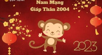 Tử Vi Tuổi Giáp Thân 2004 Năm 2023 – Nam Mạng: Xem Tử Vi Chi Tiết