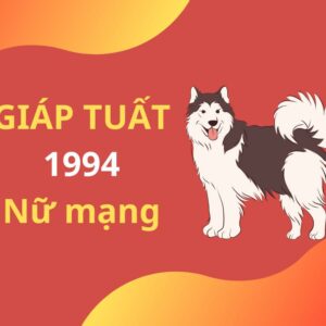 Xem tử vi tuổi Giáp Tuất 1994 - Nữ mạng năm 2024 CHI TIẾT NHẤT