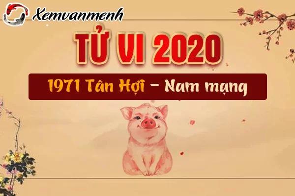 1971-van-han-tuoi-tan-hoi-nam-2020-nam-mang