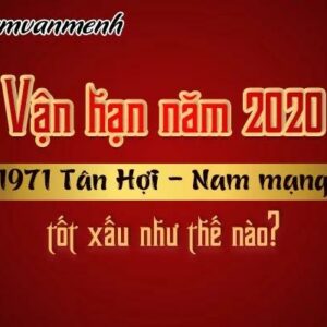 Tử Vi Năm 2020 Tuổi Tân Hợi 1971 Nam Mạng: Những Điều Bạn Cần Biết