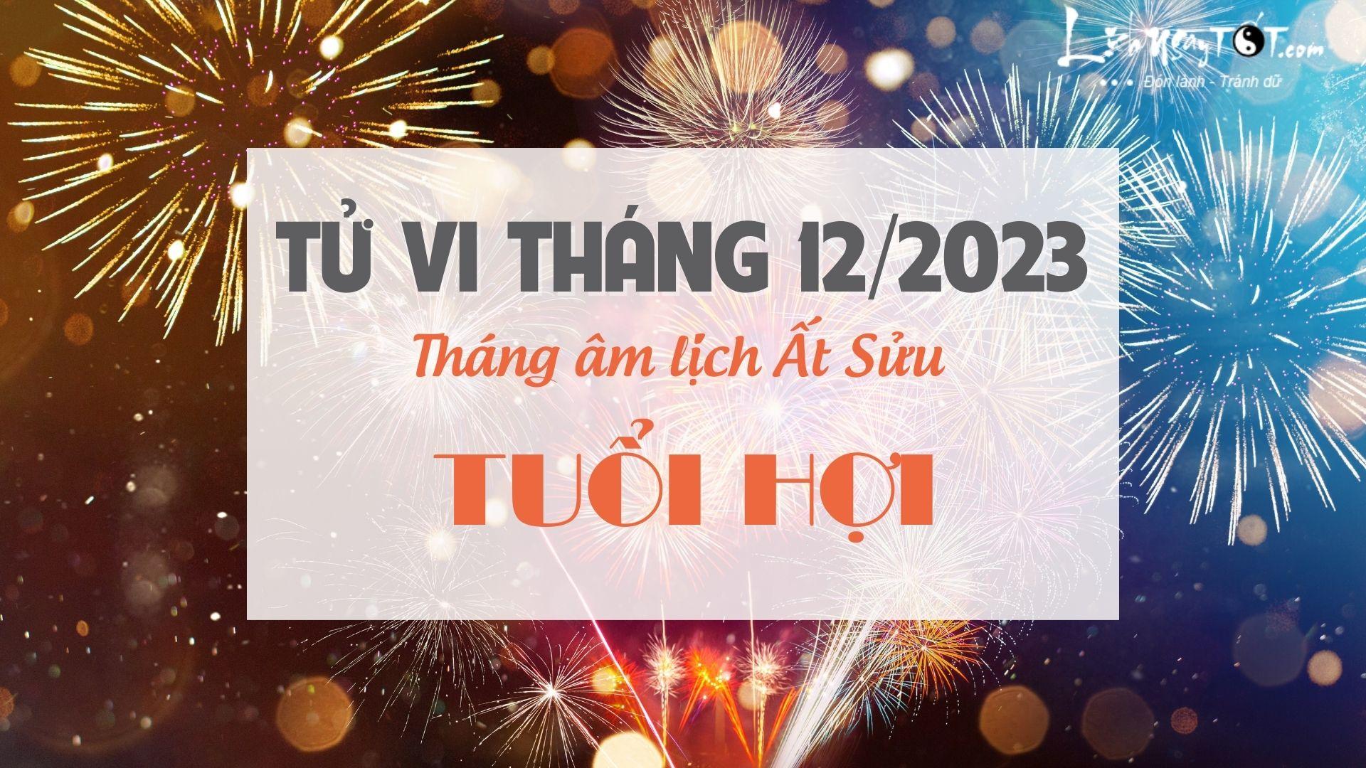 Tu vi thang 12/2023 tuoi Hoi am lich