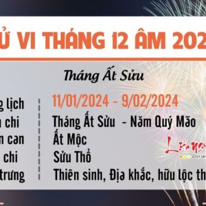 Tử Vi Tháng 12/2023 Tuổi Hợi Âm Lịch: Xã Giao Hài Hòa, Mọi Việc Hanh Thông