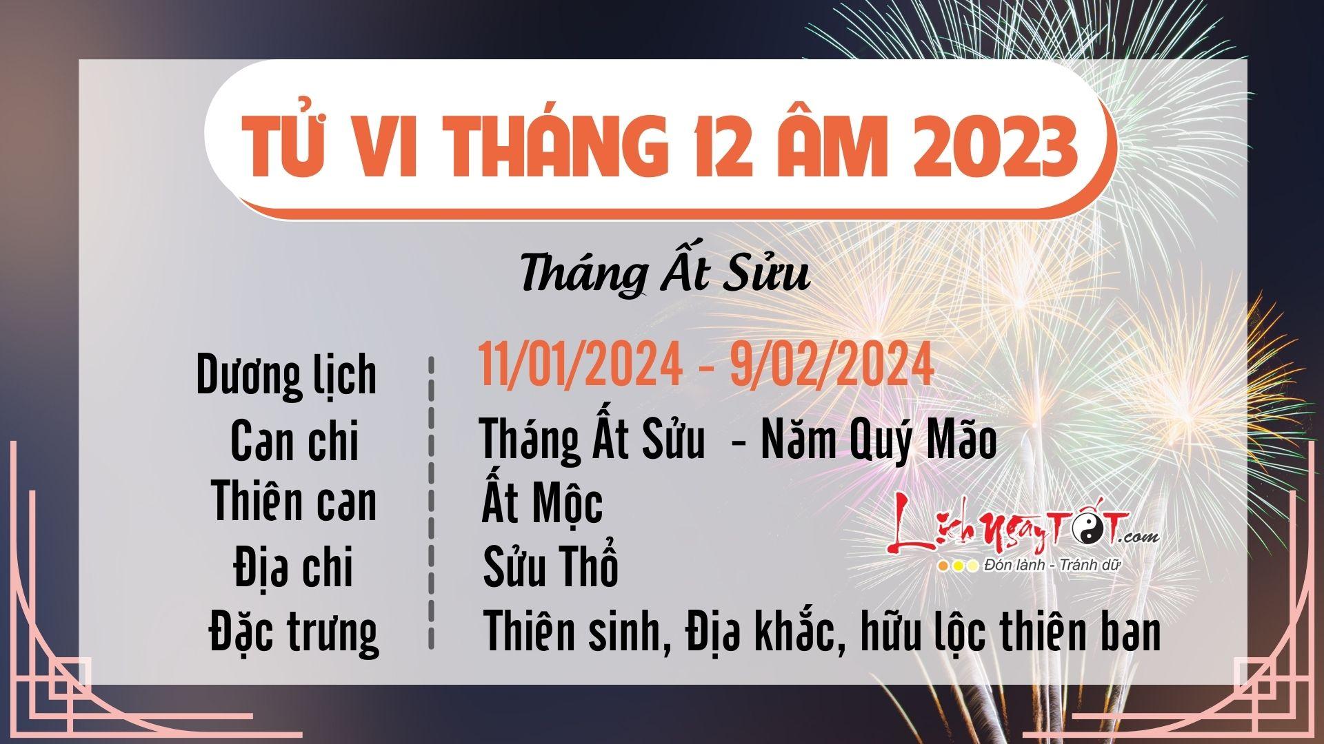 Tử Vi Tháng 12/2023 Tuổi Hợi Âm Lịch: Xã Giao Hài Hòa, Mọi Việc Hanh Thông