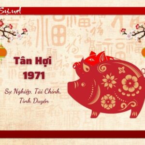 Tử Vi Tuổi Tân Hợi 1971 Năm 2023: Nam Mạng Hứa Hẹn Nhiều Thành Công