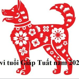 Tử Vi tuổi Giáp Tuất 1994 năm 2021 – Đại Hạn Năm 28 Tuổi.