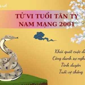 Tử Vi Tuổi Tân Tỵ 2001 - Nam mạng | Chi tiết tử vi trọn đời