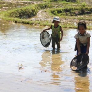 Bí mật thành công của GĐKD Thanh Mộc Hương – Yến Susan