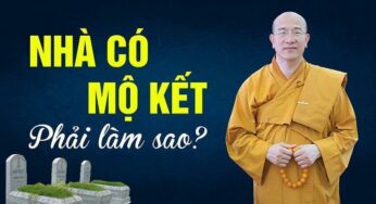 Mộ kết là gì? Những điều nên biết về mộ kết