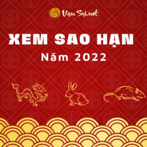 Tử Vi Tuổi Quý Mùi Năm 2022: Những Bí Mật Đằng Sau Mạng Nam 2003