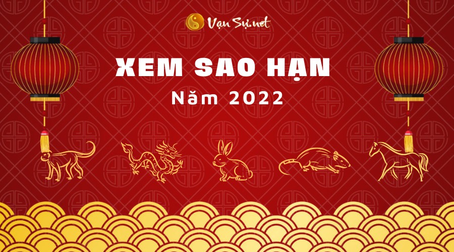 Tử Vi Tuổi Quý Mùi Năm 2022: Những Bí Mật Đằng Sau Mạng Nam 2003