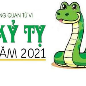 Tử vi Kỷ Tỵ năm 2021 – Thành công và thuận lợi