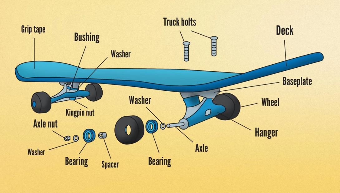 Các bộ phận chính của ván trượt