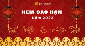 Tử Vi Tuổi Mậu Dần Năm 2022: Những Bước Ngoặt Quan Trọng