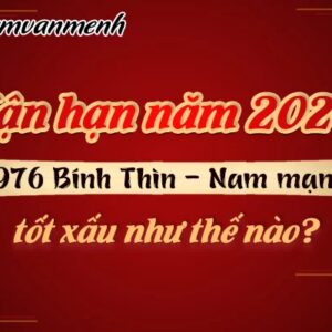 Tử vi 2020 Tuổi Bính Thìn 1976 nam mạng: Những điều đáng chú ý