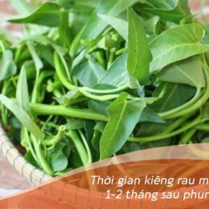 Phun Môi Ăn Rau Muống: Điều Bạn Nên Biết