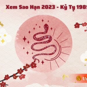 Tử Vi Tuổi Kỷ Tỵ 1989 Năm 2023 – Nam Mạng