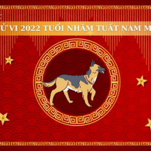 Tử Vi Tuổi Nhâm Tuất Năm 2022 - Tính Cách và Dự Báo Sự Nghiệp