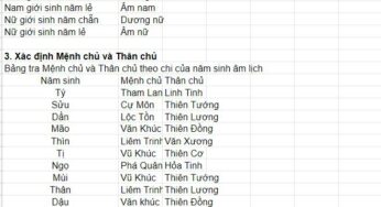 Xem Tử Vi Trọn Đời: Khám Phá Vận Mệnh Của Bản Mệnh