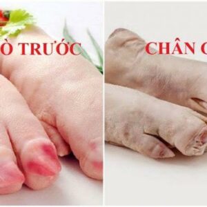 Phân biệt dựng sau và dựng trước heo