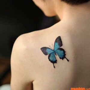 Mẫu hình xăm bướm đẹp và ý nghĩa nhất cho bạn
