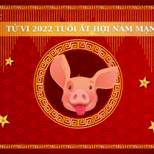 Tử Vi Tuổi Ất Hợi Năm 2022 - Nam Mạng 1995 Chi Tiết