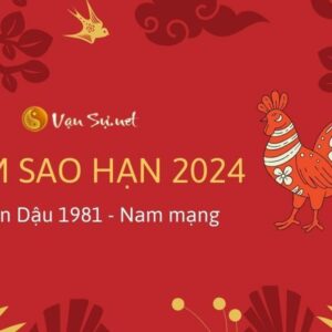 Tử Vi Tuổi Tân Dậu 1981 Năm 2024 - Nam Mạng
